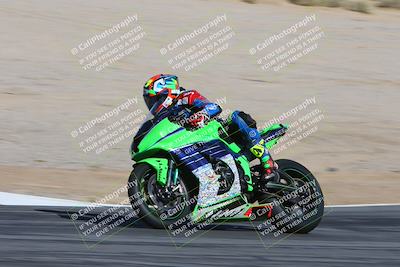 media/Feb-04-2024-SoCal Trackdays (Sun) [[91d6515b1d]]/4-Bowl Backside (11am)/